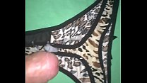 hd enjoying brand new sisterinlaw panties video
