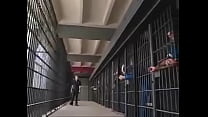hd belladonna jail gangbang video