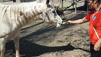 hd я весь промок увидев размер коня желаю чтобы мой парень был таким пэти батт эль торо де оро video