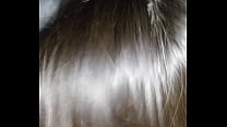 hd fuck xr21 video