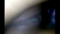 hd blowjob video
